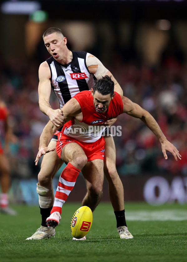 AFL 2024 Round 22 - Sydney v Collingwood - A-52628399