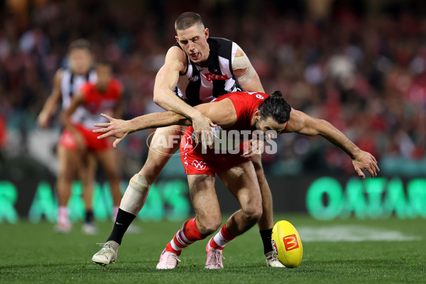 AFL 2024 Round 22 - Sydney v Collingwood - A-52628400