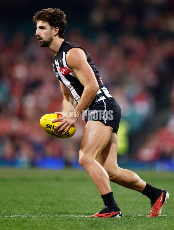 AFL 2024 Round 22 - Sydney v Collingwood - A-52628418