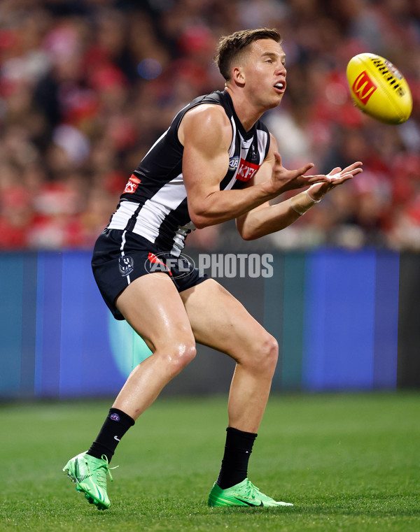 AFL 2024 Round 22 - Sydney v Collingwood - A-52628421