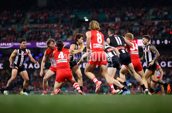 AFL 2024 Round 22 - Sydney v Collingwood - A-52629227