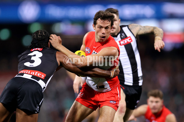 AFL 2024 Round 22 - Sydney v Collingwood - A-52629262