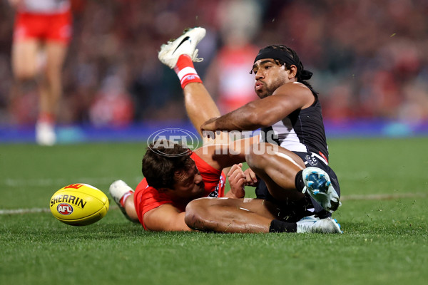 AFL 2024 Round 22 - Sydney v Collingwood - A-52631032