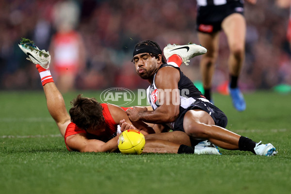 AFL 2024 Round 22 - Sydney v Collingwood - A-52631033