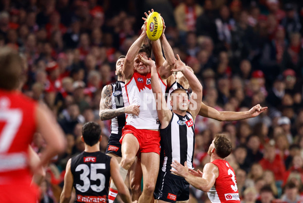 AFL 2024 Round 22 - Sydney v Collingwood - A-52631512