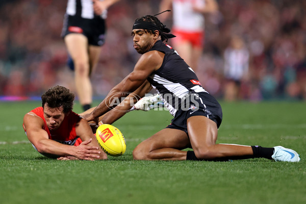 AFL 2024 Round 22 - Sydney v Collingwood - A-52631518