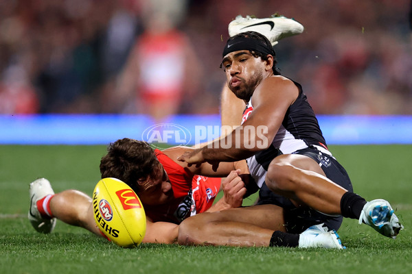 AFL 2024 Round 22 - Sydney v Collingwood - A-52631519