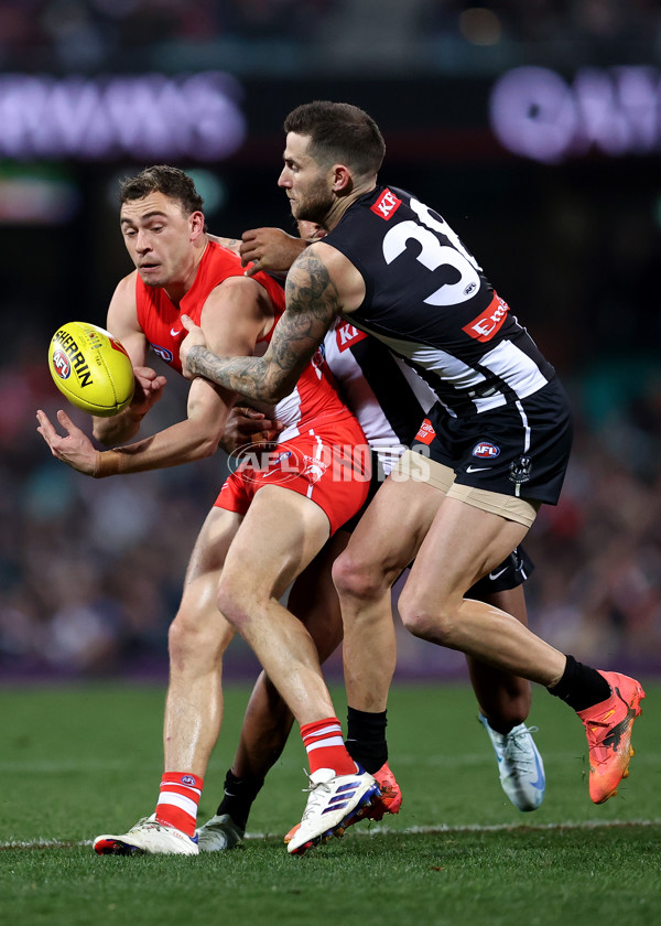 AFL 2024 Round 22 - Sydney v Collingwood - A-52633993