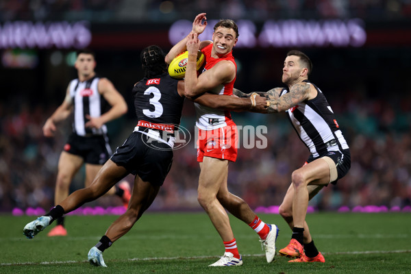 AFL 2024 Round 22 - Sydney v Collingwood - A-52633994