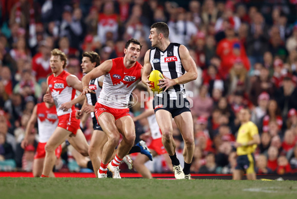 AFL 2024 Round 22 - Sydney v Collingwood - A-52636377