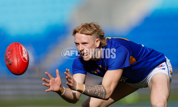 AFL 2024 Round 22 - North Melbourne v West Coast - A-52636414