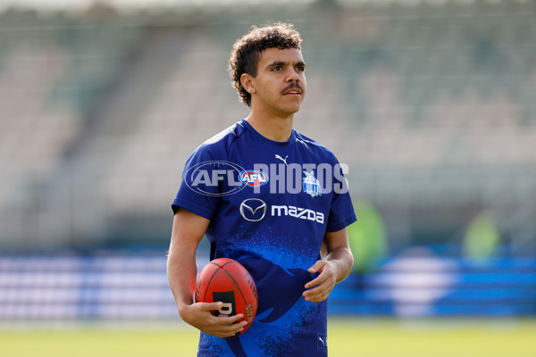 AFL 2024 Round 22 - North Melbourne v West Coast - A-52636877