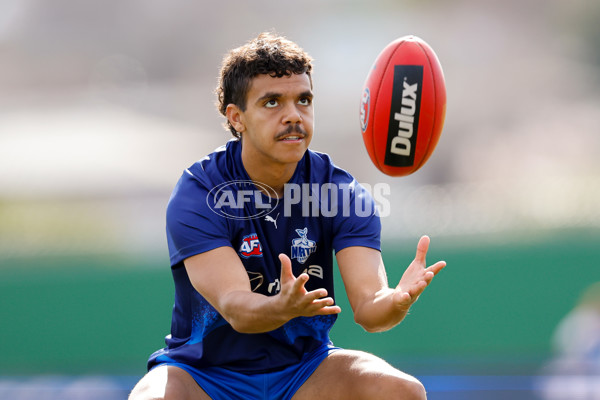 AFL 2024 Round 22 - North Melbourne v West Coast - A-52636878