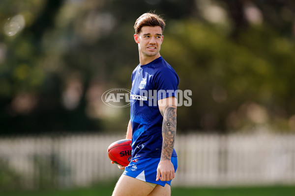 AFL 2024 Round 22 - North Melbourne v West Coast - A-52636888