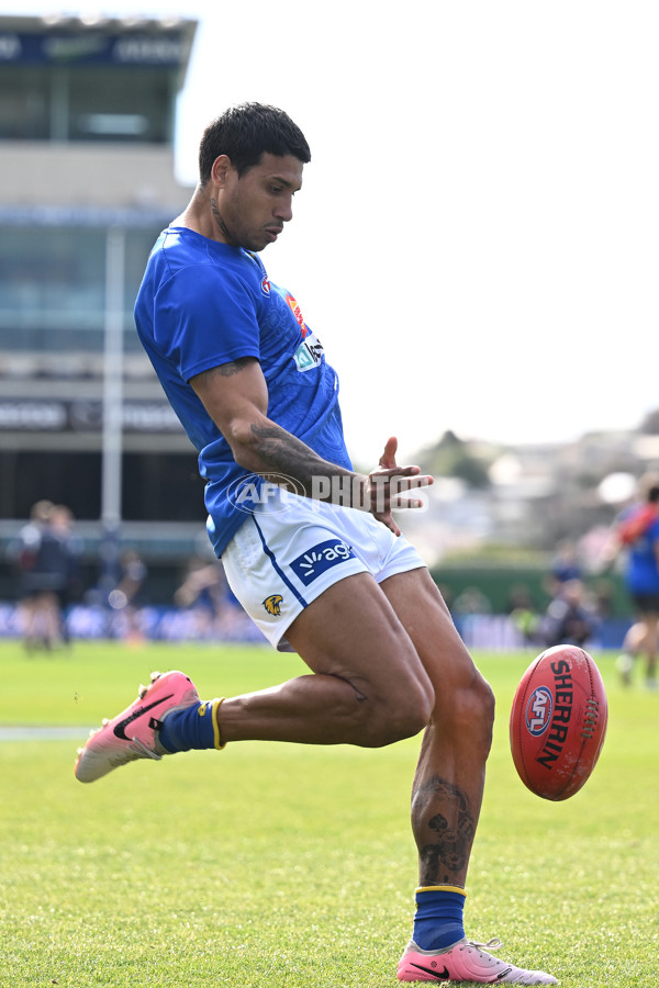 AFL 2024 Round 22 - North Melbourne v West Coast - A-52636930