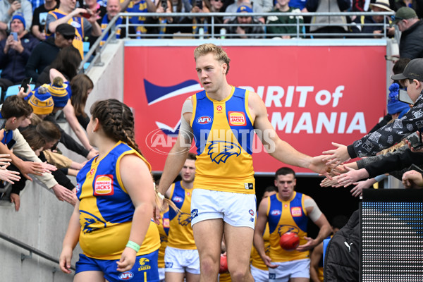 AFL 2024 Round 22 - North Melbourne v West Coast - A-52636934