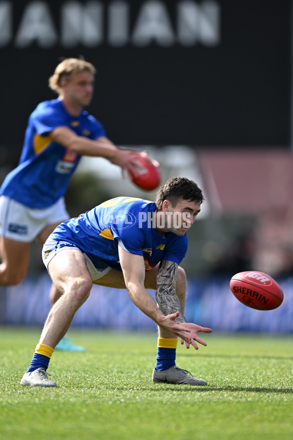 AFL 2024 Round 22 - North Melbourne v West Coast - A-52638675