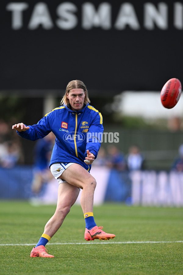 AFL 2024 Round 22 - North Melbourne v West Coast - A-52638676