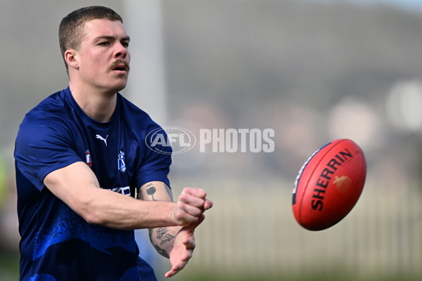 AFL 2024 Round 22 - North Melbourne v West Coast - A-52638679
