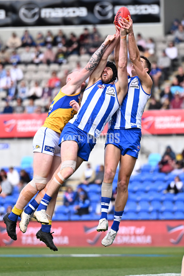 AFL 2024 Round 22 - North Melbourne v West Coast - A-52638703