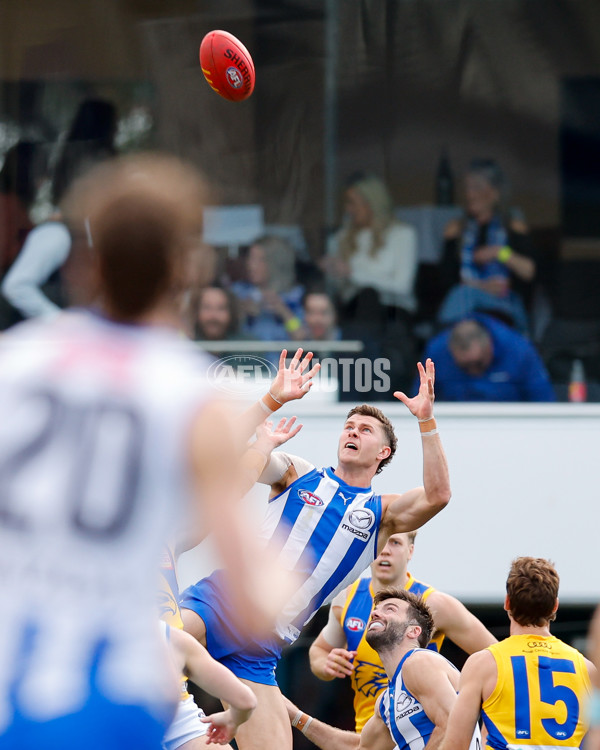 AFL 2024 Round 22 - North Melbourne v West Coast - A-52638712