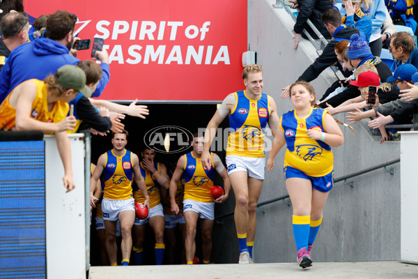 AFL 2024 Round 22 - North Melbourne v West Coast - A-52638743