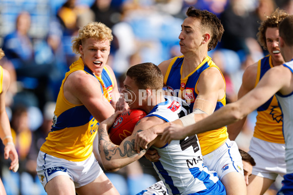 AFL 2024 Round 22 - North Melbourne v West Coast - A-52638744