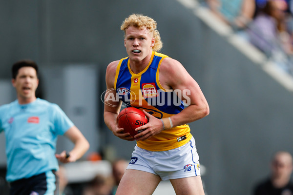 AFL 2024 Round 22 - North Melbourne v West Coast - A-52638761