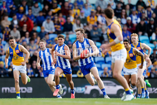 AFL 2024 Round 22 - North Melbourne v West Coast - A-52638762