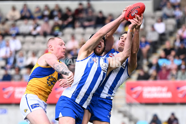 AFL 2024 Round 22 - North Melbourne v West Coast - A-52638764