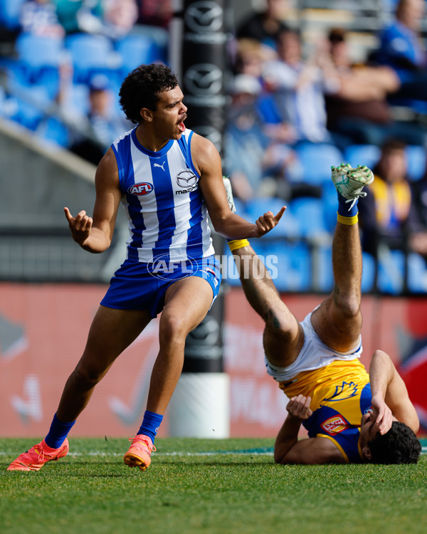 AFL 2024 Round 22 - North Melbourne v West Coast - A-52638774