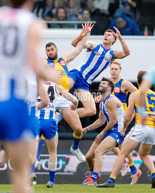 AFL 2024 Round 22 - North Melbourne v West Coast - A-52639309