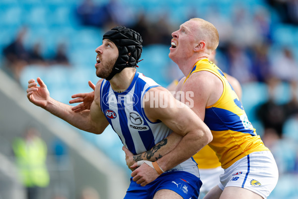 AFL 2024 Round 22 - North Melbourne v West Coast - A-52639310