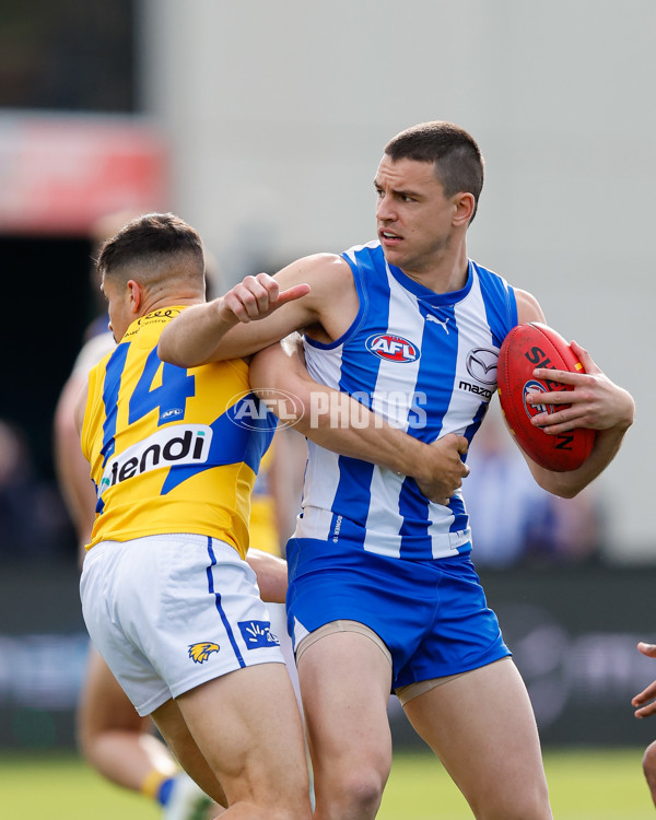 AFL 2024 Round 22 - North Melbourne v West Coast - A-52639311