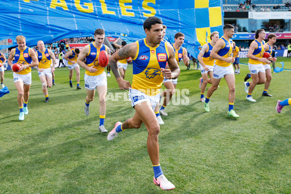 AFL 2024 Round 22 - North Melbourne v West Coast - A-52639313
