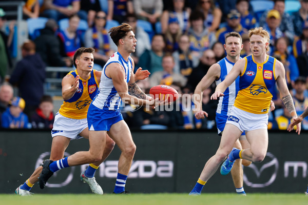 AFL 2024 Round 22 - North Melbourne v West Coast - A-52639314