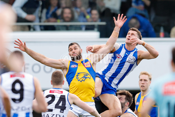 AFL 2024 Round 22 - North Melbourne v West Coast - A-52639315