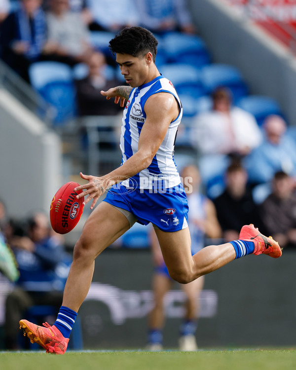 AFL 2024 Round 22 - North Melbourne v West Coast - A-52639316