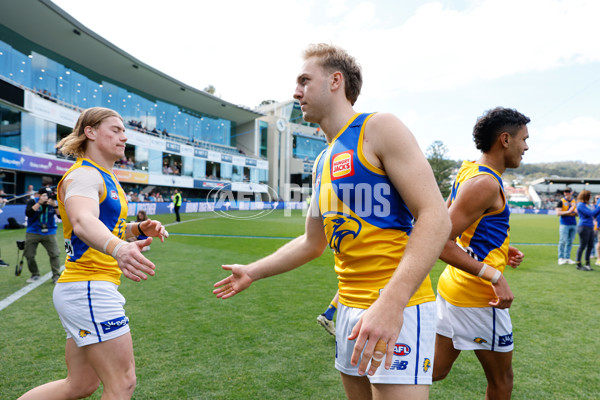 AFL 2024 Round 22 - North Melbourne v West Coast - A-52639317