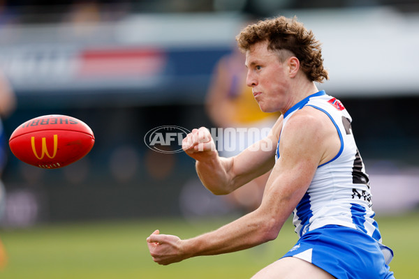 AFL 2024 Round 22 - North Melbourne v West Coast - A-52639340