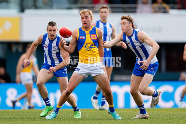 AFL 2024 Round 22 - North Melbourne v West Coast - A-52639341