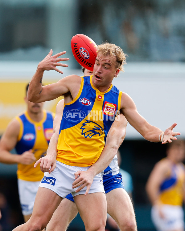 AFL 2024 Round 22 - North Melbourne v West Coast - A-52639342