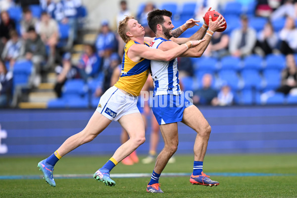 AFL 2024 Round 22 - North Melbourne v West Coast - A-52639363