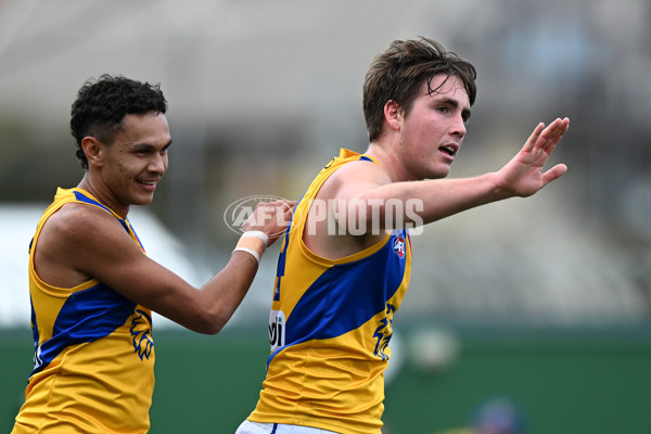 AFL 2024 Round 22 - North Melbourne v West Coast - A-52641117