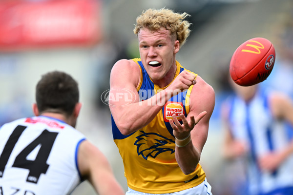 AFL 2024 Round 22 - North Melbourne v West Coast - A-52641121