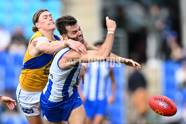 AFL 2024 Round 22 - North Melbourne v West Coast - A-52641123