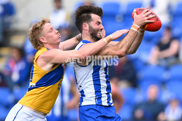 AFL 2024 Round 22 - North Melbourne v West Coast - A-52641127