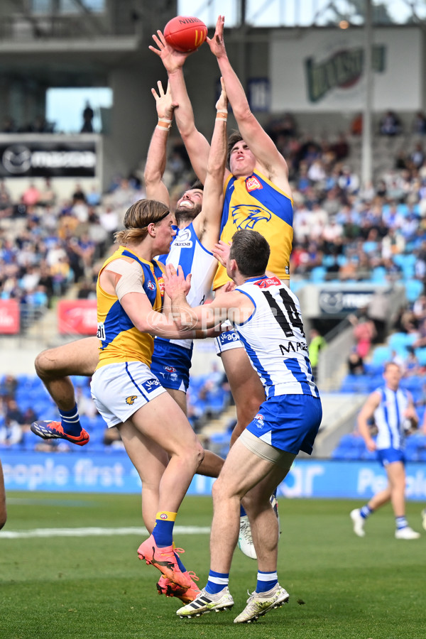 AFL 2024 Round 22 - North Melbourne v West Coast - A-52641142