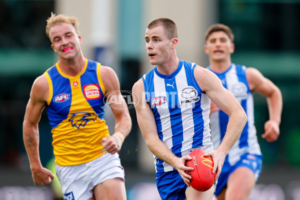 AFL 2024 Round 22 - North Melbourne v West Coast - A-52641151