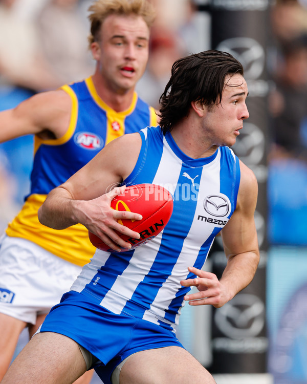 AFL 2024 Round 22 - North Melbourne v West Coast - A-52641153